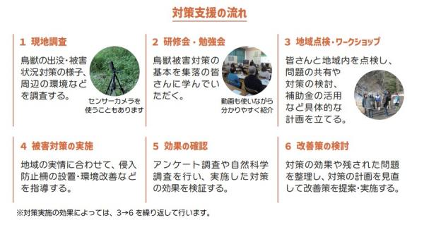 対策の流れ