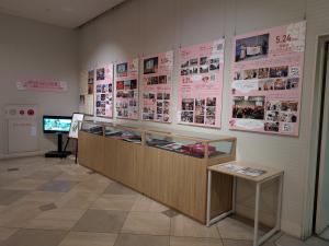 展示