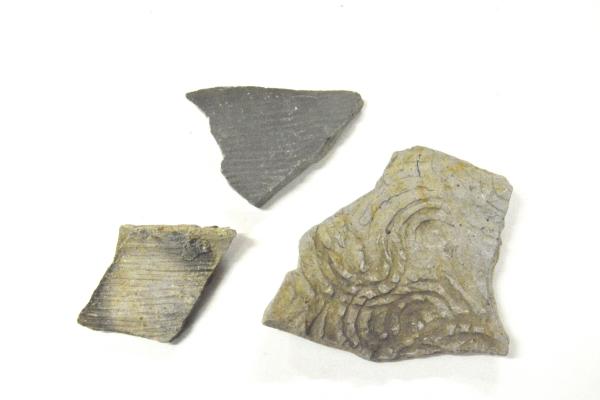 出土した土器片