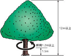 指定規準の図