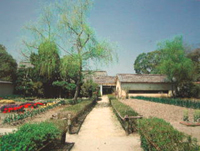 廉塾の菜園