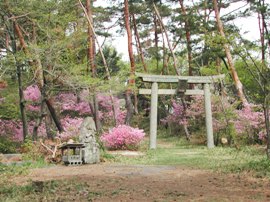 御領山山頂