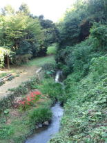 竹田のゲンジボタル発生地（狭間川上流）