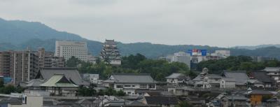 妙政寺、観音寺