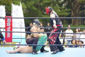 海鮮プロレスの写真