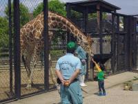 動物園