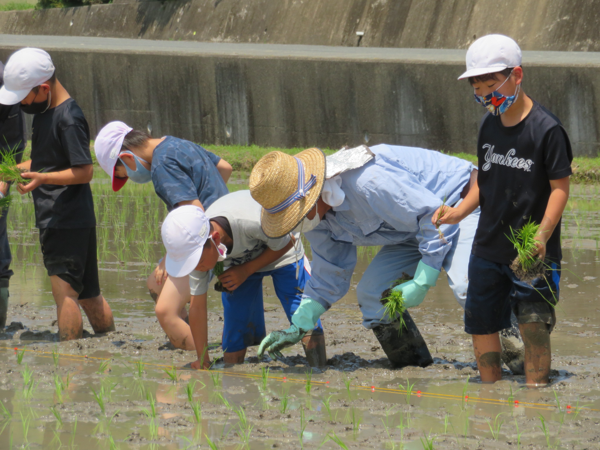 地域の方に教わりながら慎重に