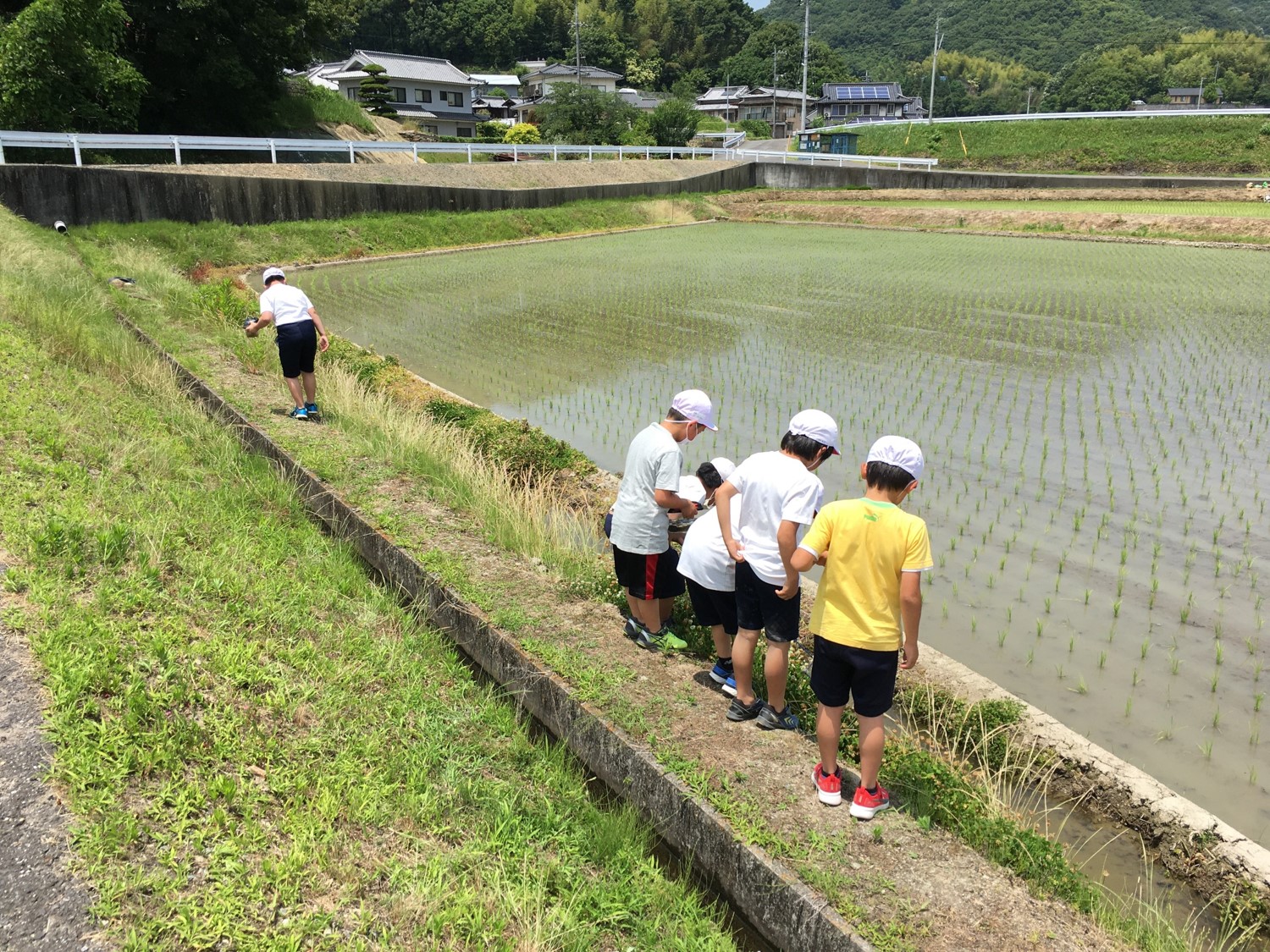 何か見つけた？