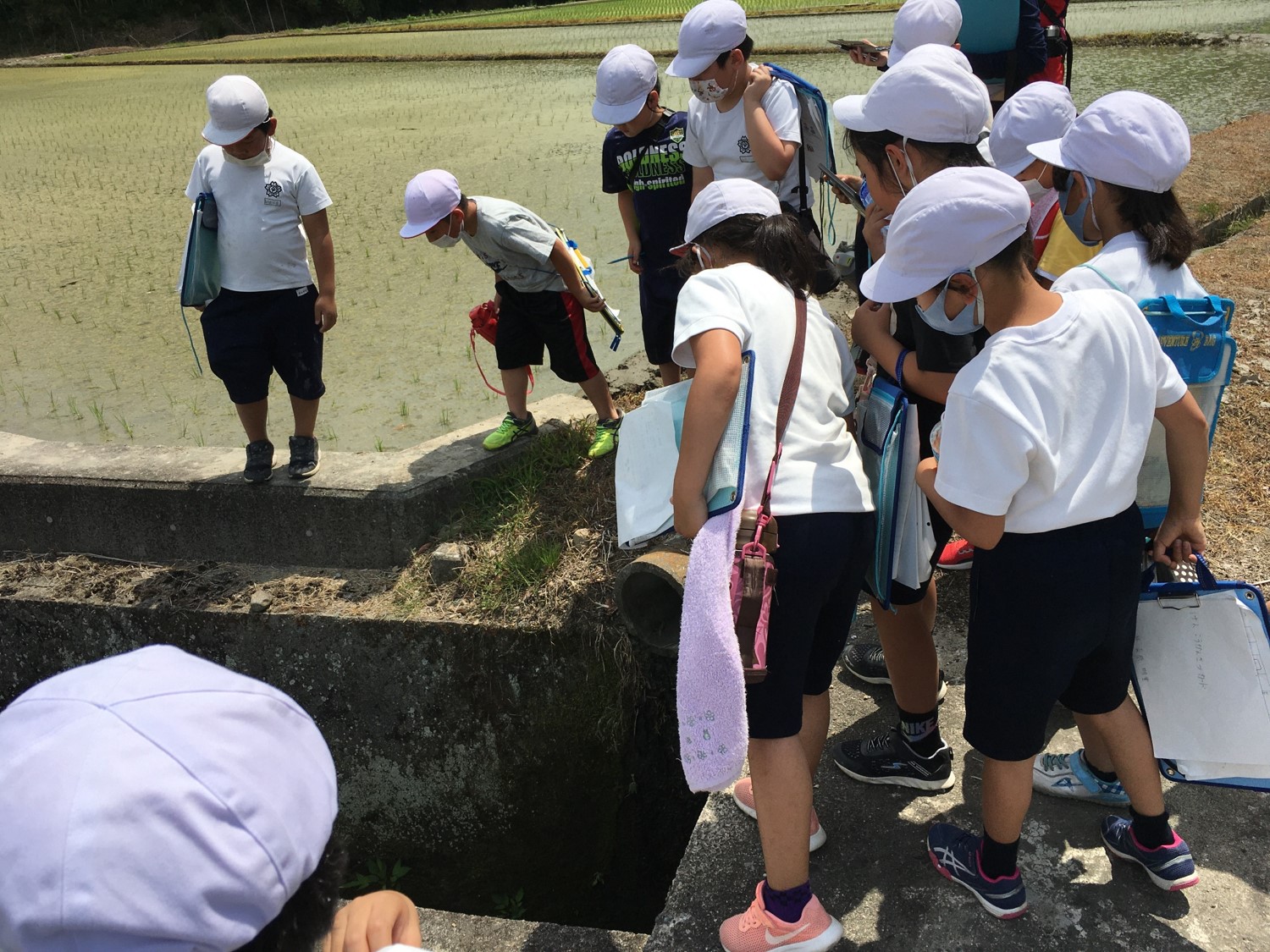 生き物がいると興味津津