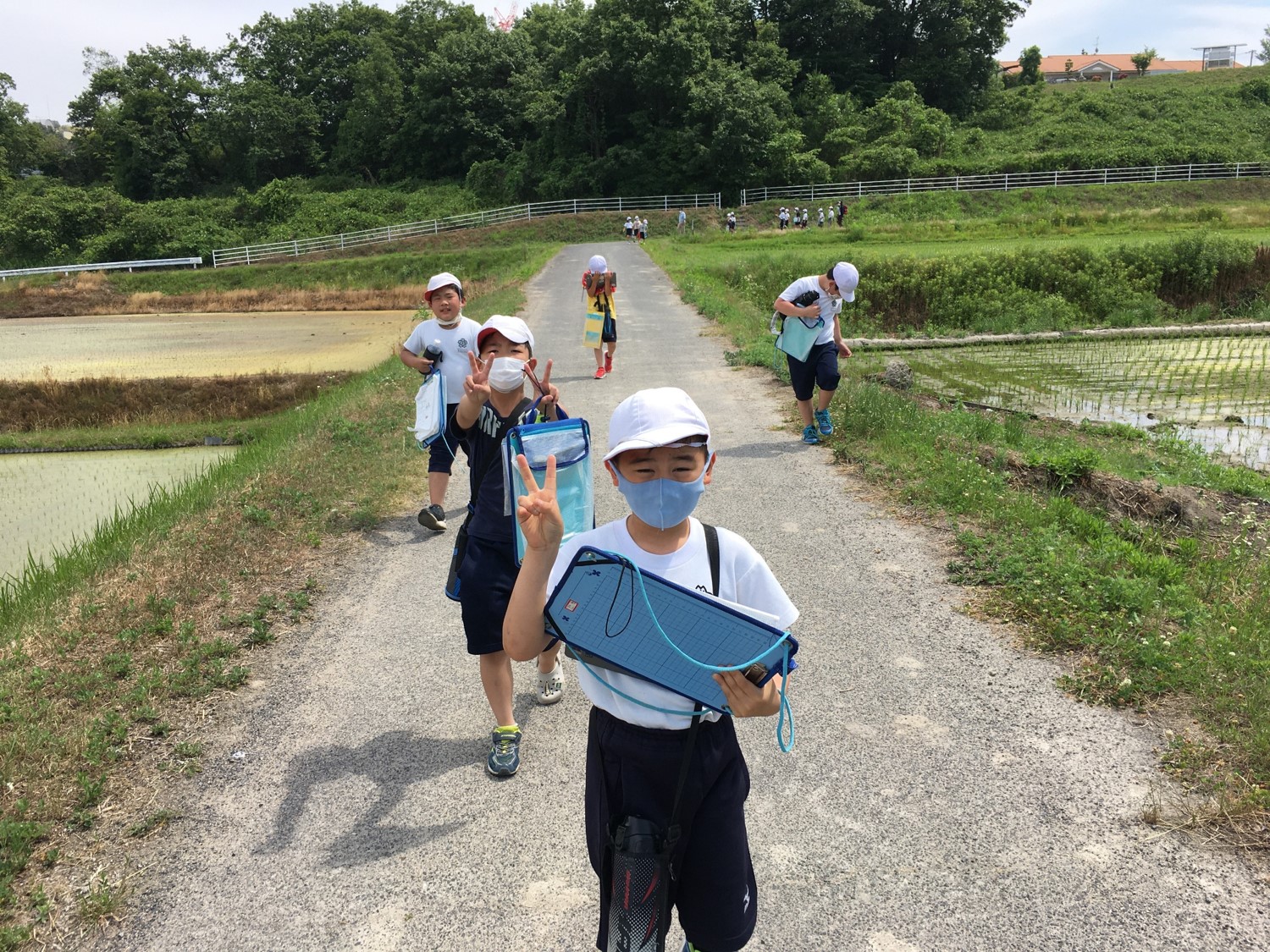 よく歩きました楽しかった様子