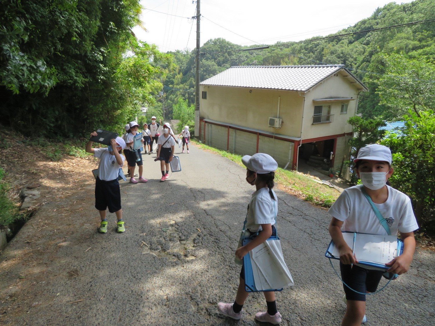 何かを発見！写真を撮ろう