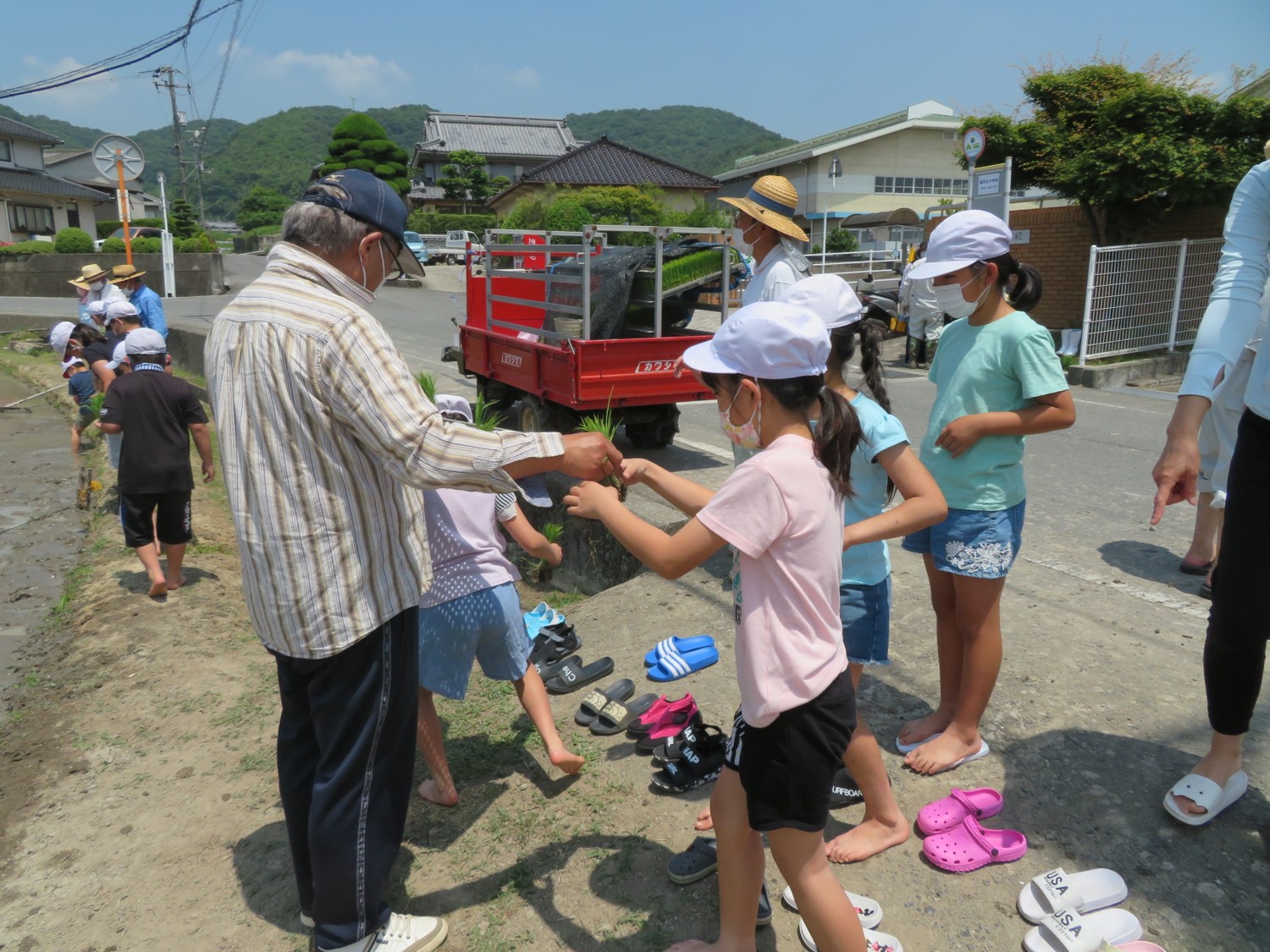 苗を受け取ります