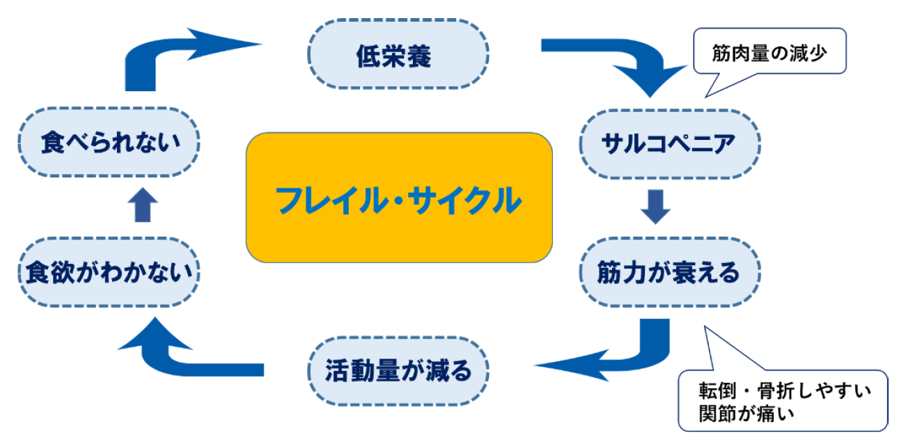 フレイルサイクル