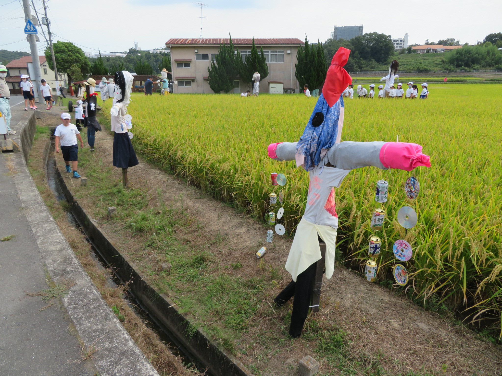 田んぼに並ぶかかし１