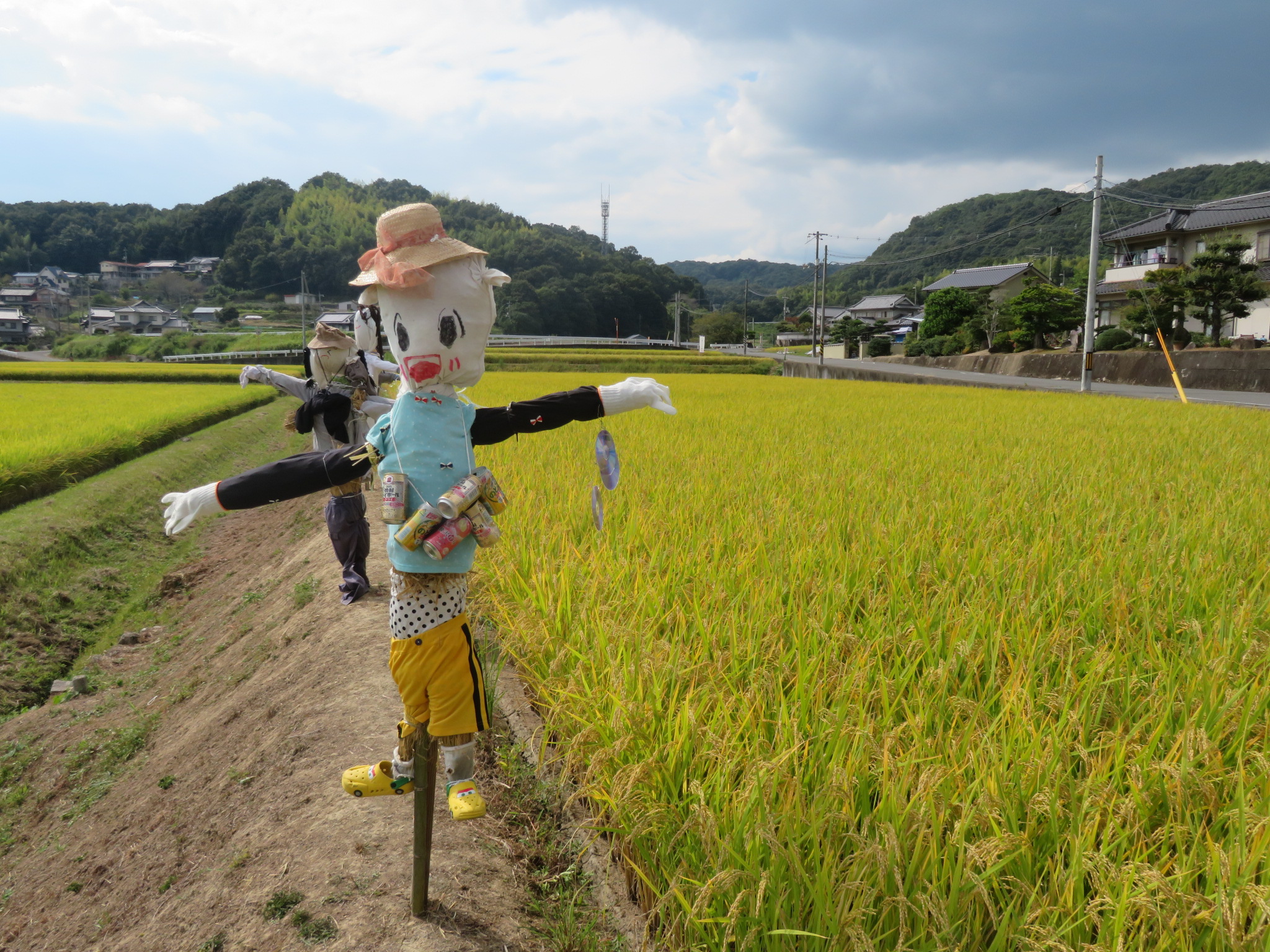 田んぼに並ぶかかし２