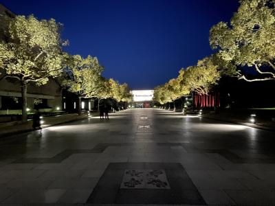 ふくやま美術館プロムナードライトアップ点灯式の写真
