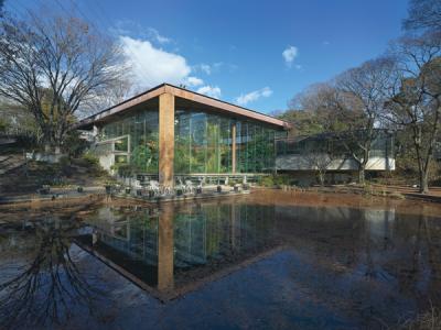 《大阪府服部緑地都市緑化植物園　花と緑の相談所》1984年　撮影：市川靖史