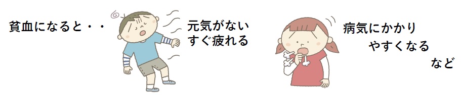 貧血になると，元気がない。すぐ疲れる。病気にかかりやすくなる。