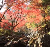 くらがり渓谷の紅葉