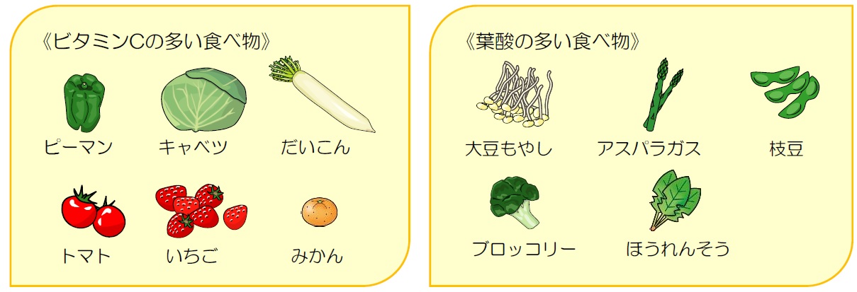 ビタミンCの多い食べ物と葉酸の多い食べ物