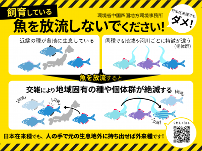 魚を放流しないでください