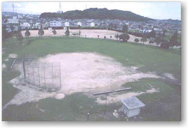 新涯四丁目公園運動場写真