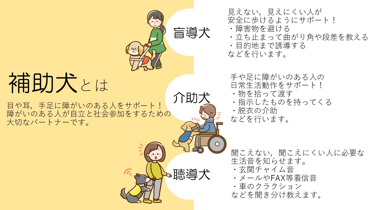 補助犬とは