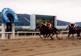 ふくやま市営競馬場