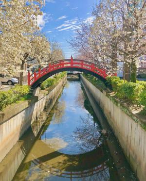 願掛橋(胡町)