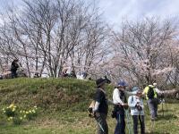 城山ハイキング