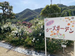 蔵王小学校の花壇写真