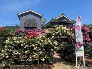 天満屋ギフトショップ　能宗呉服店の花壇写真