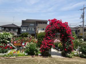 緑丘学区まちづくり推進委員会の花壇写真