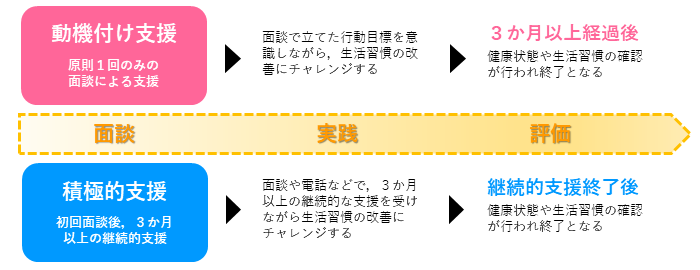 特定保健指導の一般的な流れ