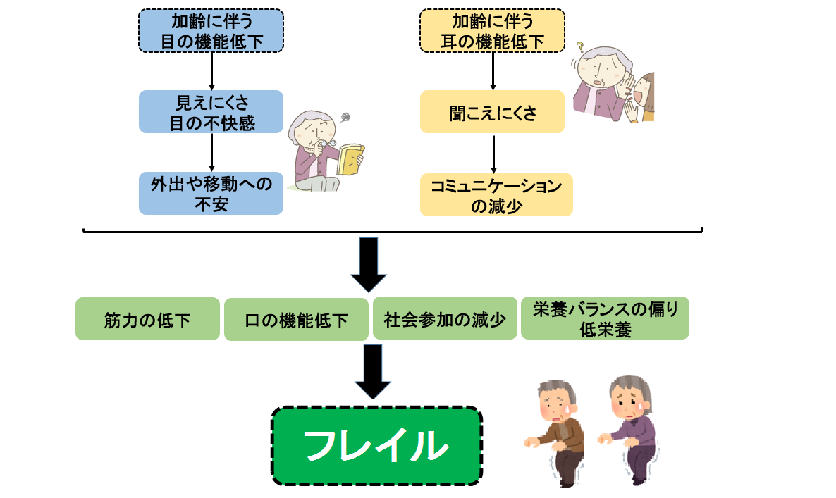 フレイル全体イメージ図