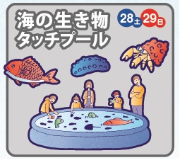 海の生き物タッチプールの画像