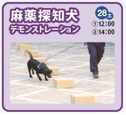 麻薬探知犬デモンストレーションのイメージ画像