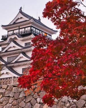 福山城と紅葉の写真