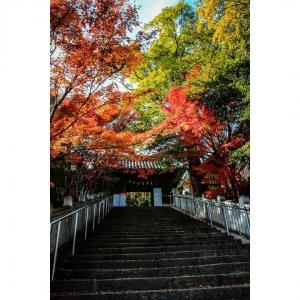 艮神社の紅葉