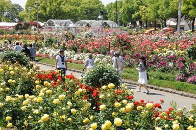 ばら公園