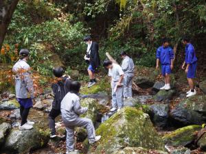 竜頭の滝