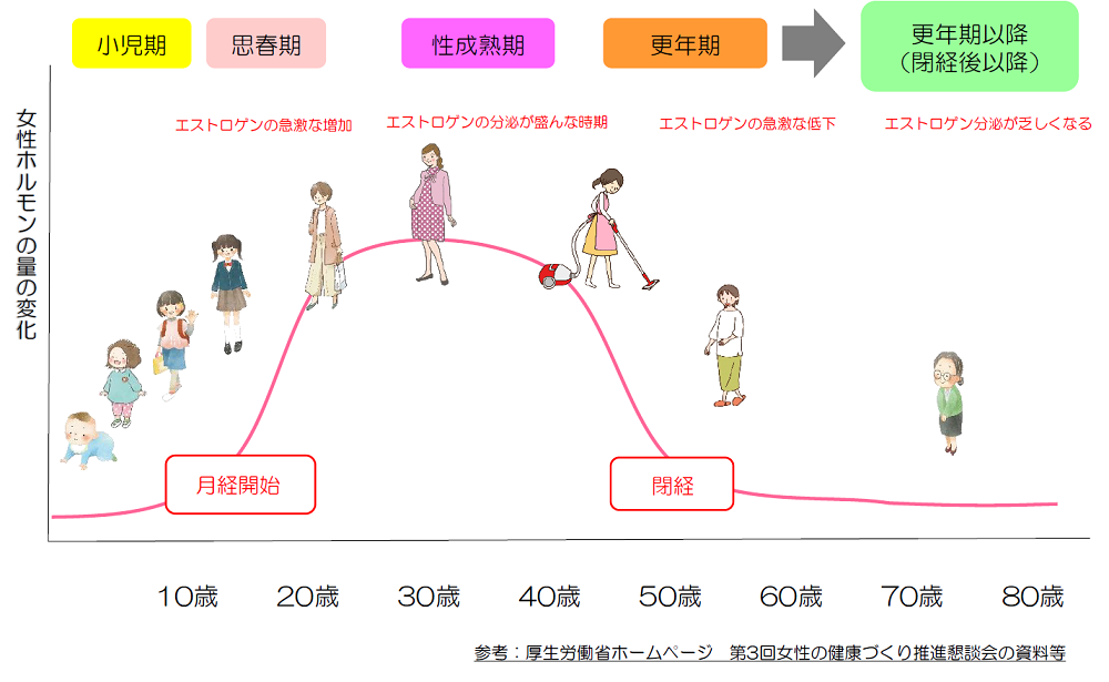 女性ホルモンの変化