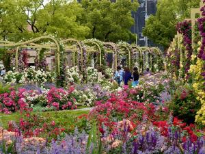 ばら公園の写真