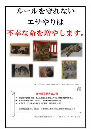 猫ポスター