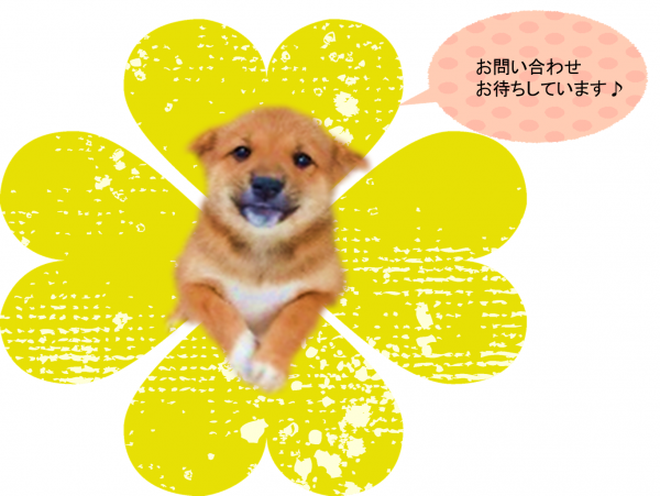 子犬と花