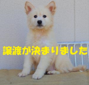５－２６