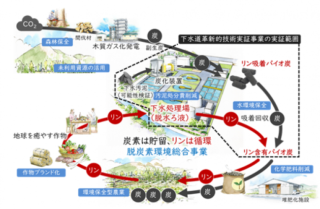 リン回収及び炭素貯留 循環モデル