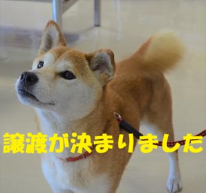 7-4