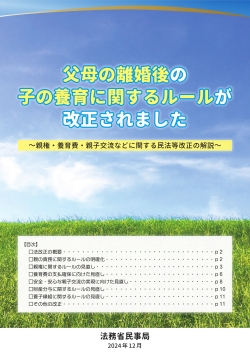 パンフレット『父母の離婚後の子の養育に関するルールが改正されました』（法務省作成）