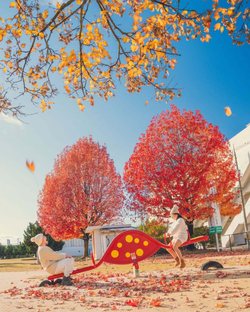蔵王公園と紅葉